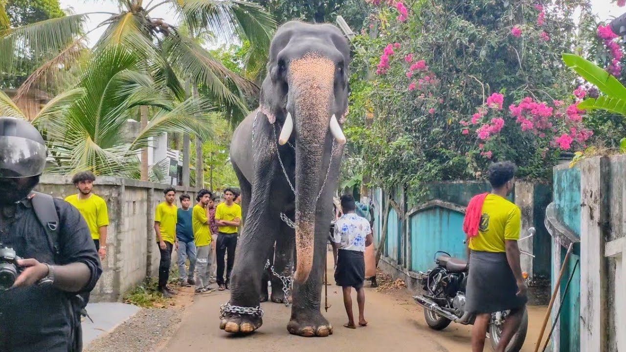 അക്കരമ്മൽ മോഹനൻ സീസണിലെ ആദ്യ പരിപാടിയായ എടക്കഴിയൂർ നേർച്ചക്ക് 😍🥰 Akkarammal Mohanan #zenith Group