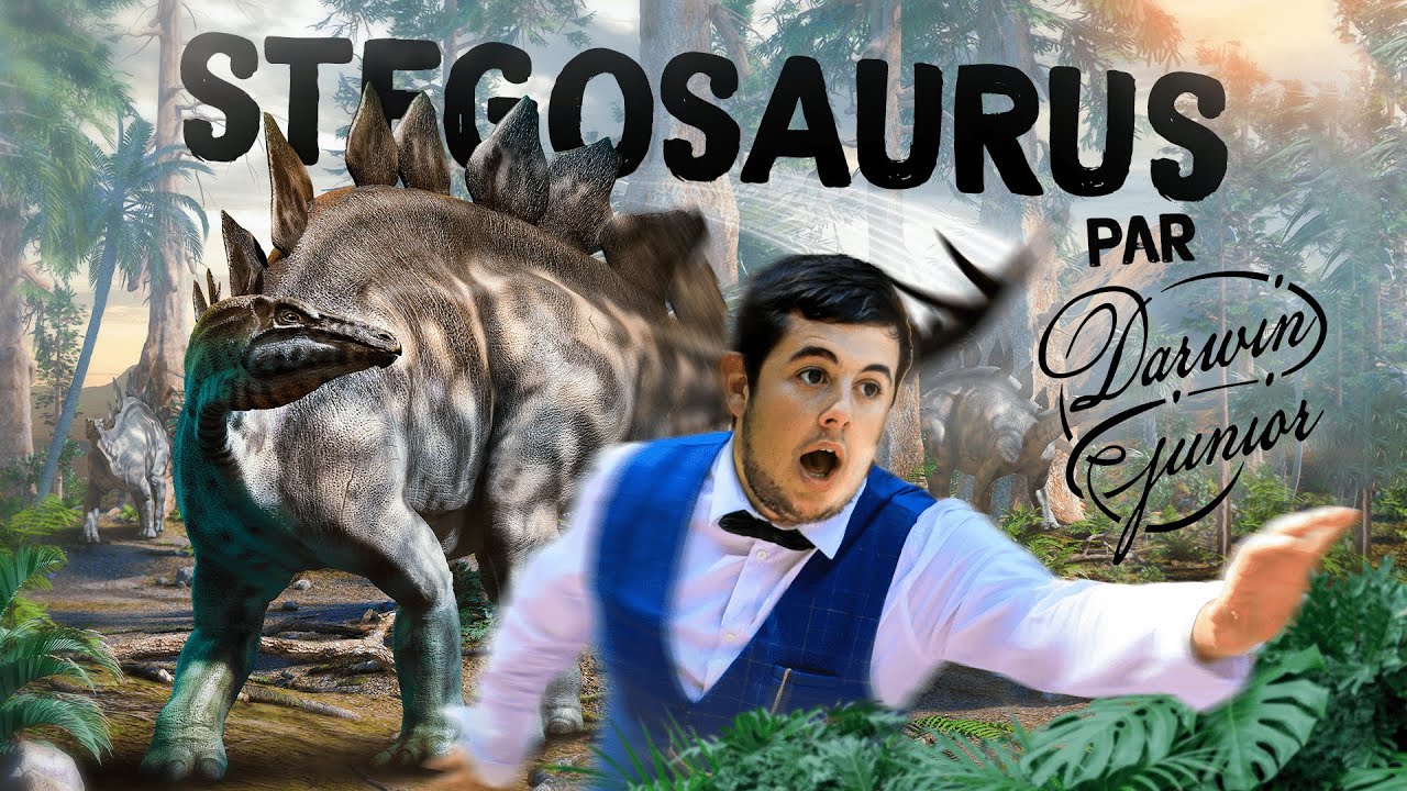 DINOPEDIA #5 - LE DINOSAURE à plaque !