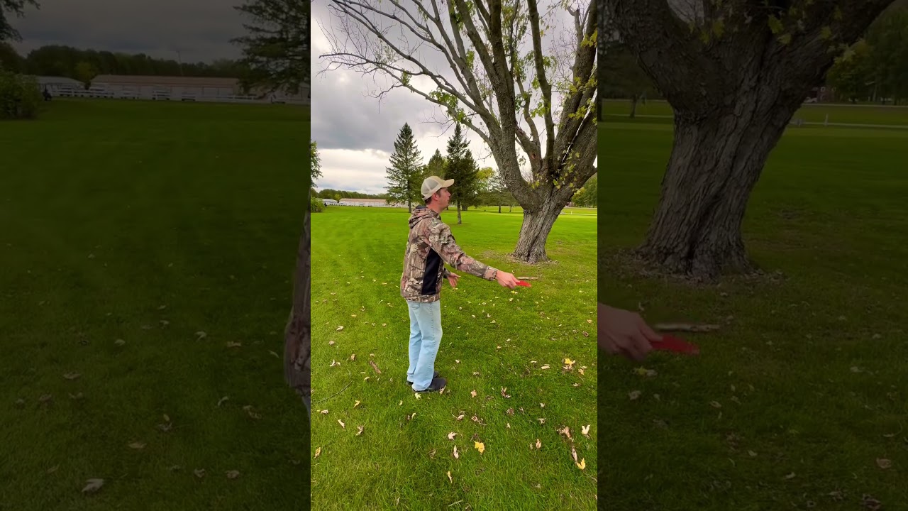Form Check! #discgolf2023 #discgolfer #discgolfeveryday #shorts #subscribe