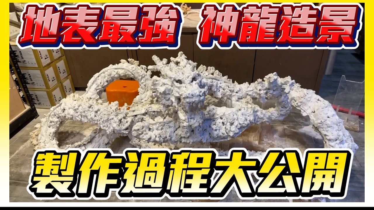 【藍箱水族】水族缸七龍珠神龍造景製作過程！MarcoRocks Dragon ball Shenlong aquascape!!!