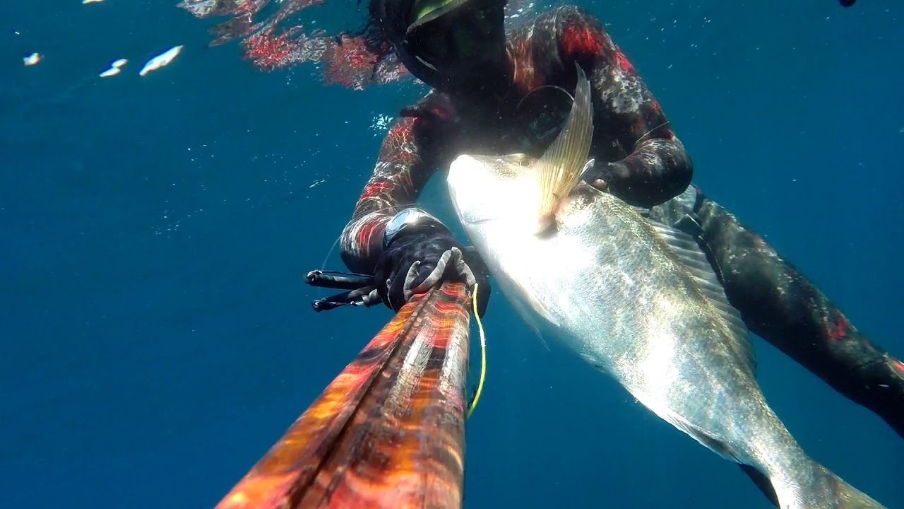 LA PESCA DE LA DORADA GIGANTE del pescador Javier Camacho