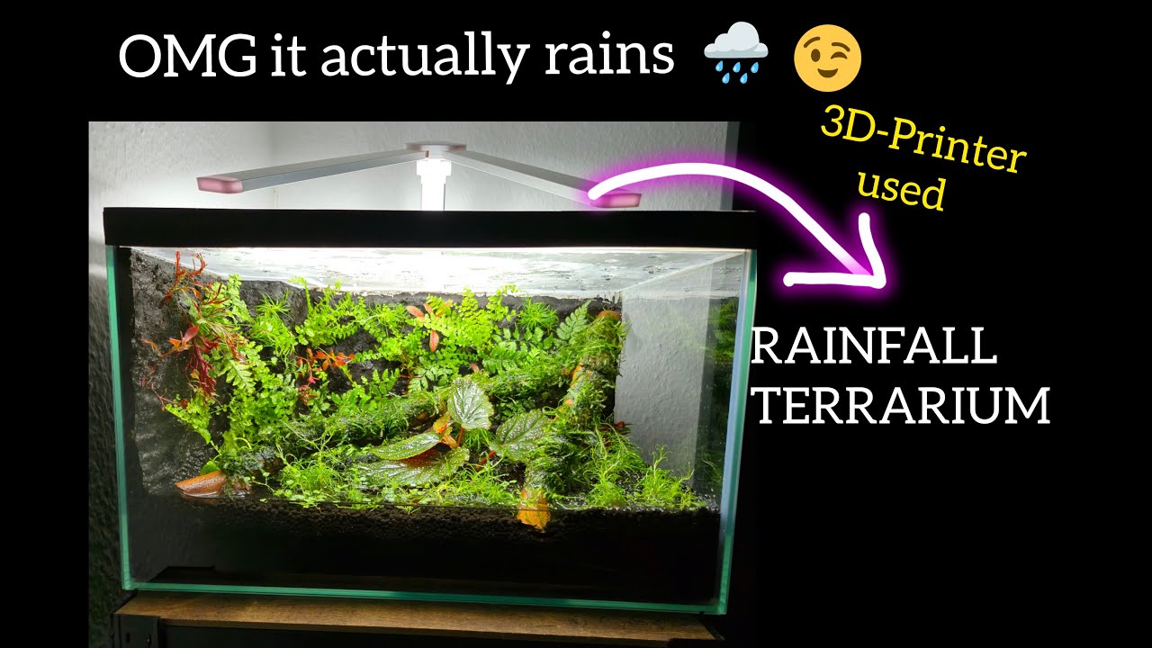 Rainfall Terrarium Ecosystem using a 3D-Printed part | rainfall paludarium | rain system