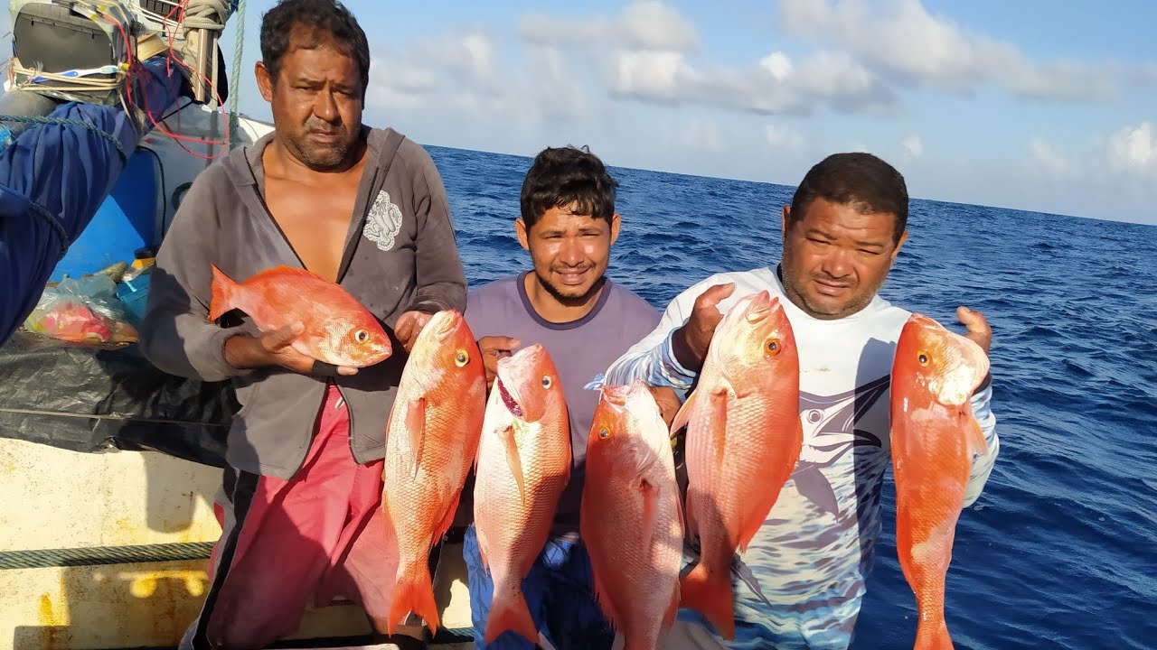 PESCA DE 