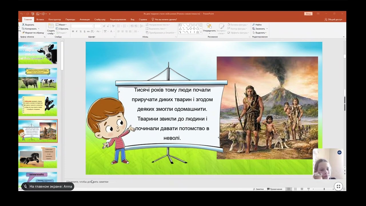 Домашние животные и дикие животные 