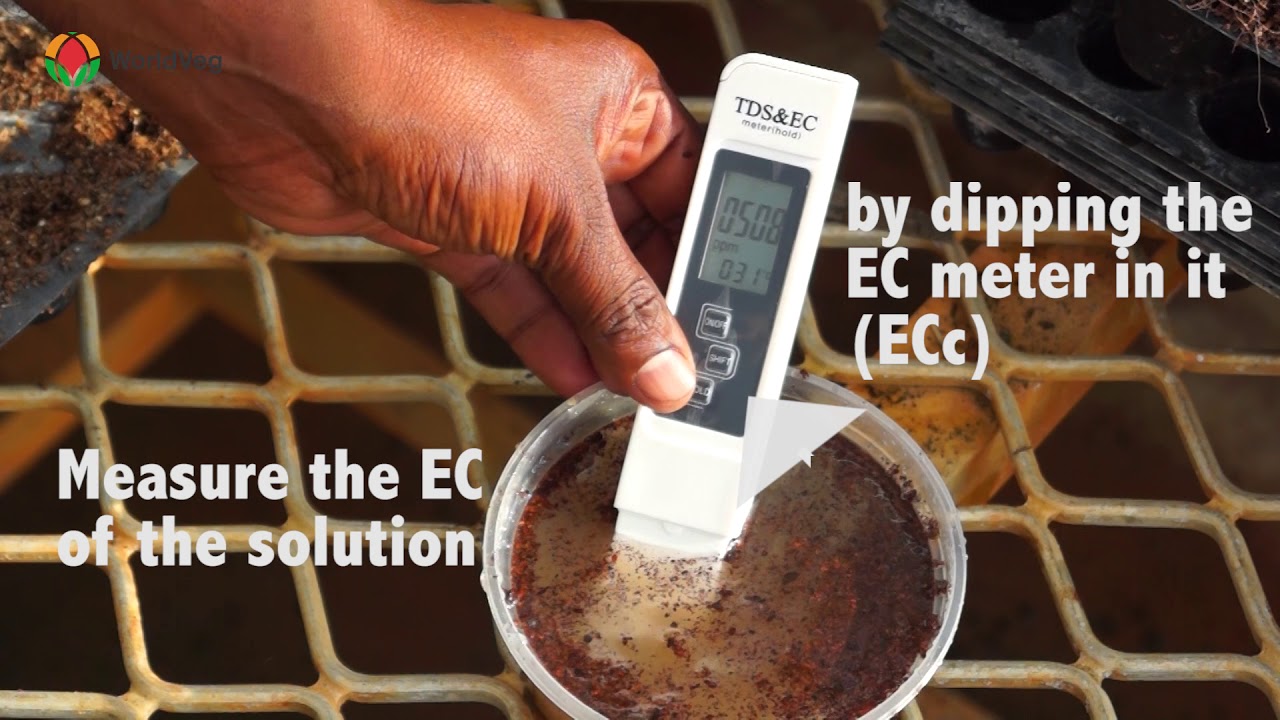 How to measure EC of Cocopeat