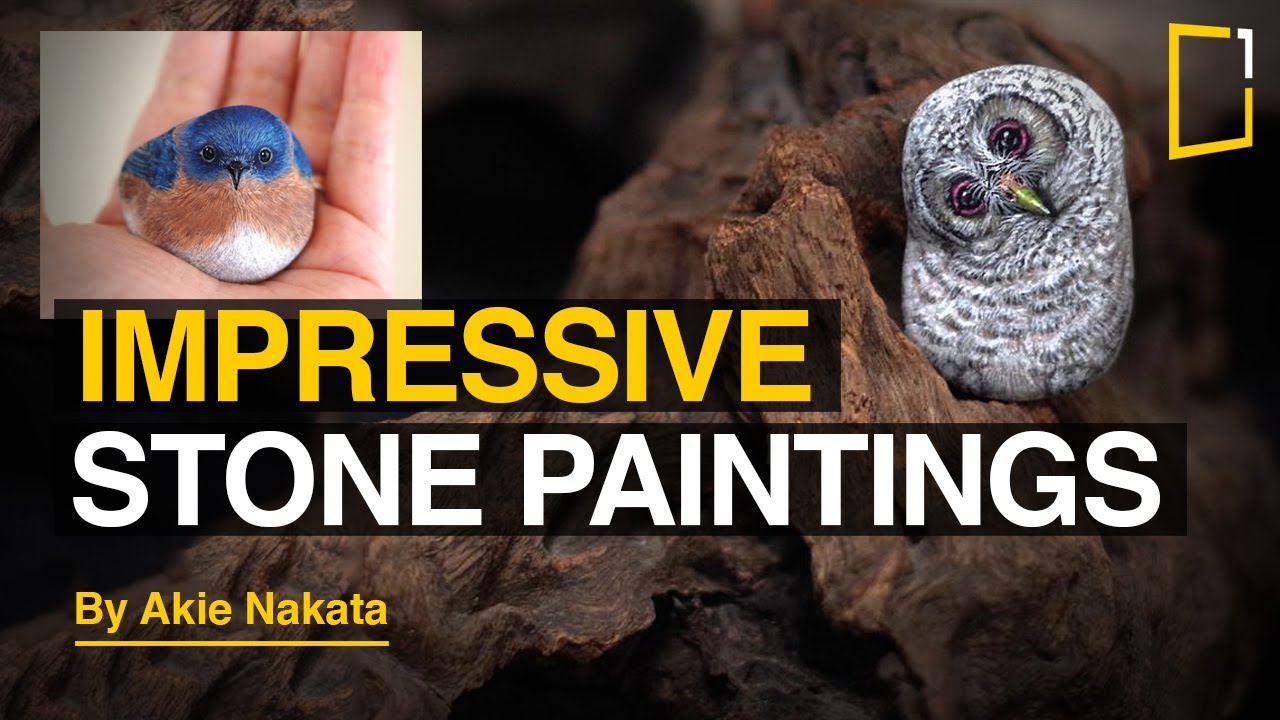 Artist Transforms Found Stones Into Animals | IMPRESSIVE Stone paintings by Akie Nakata