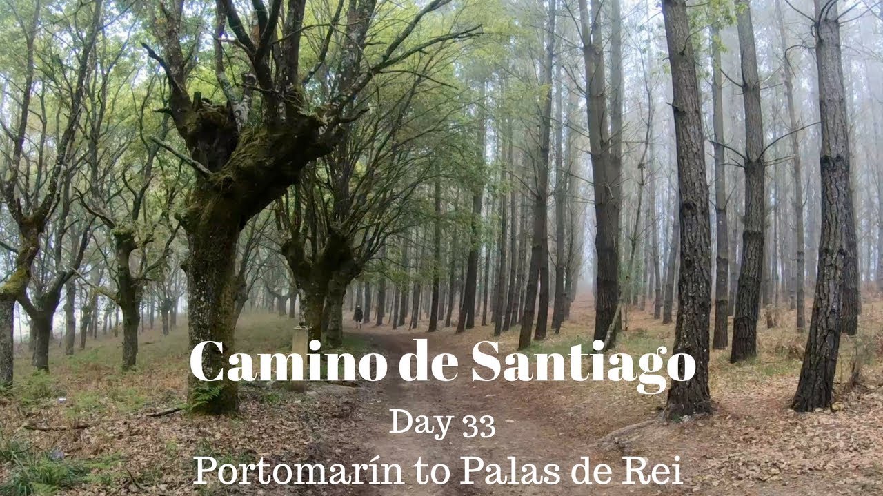 Camino de Santiago 2018 - Day 33 - Portomarín to Palas de Rei