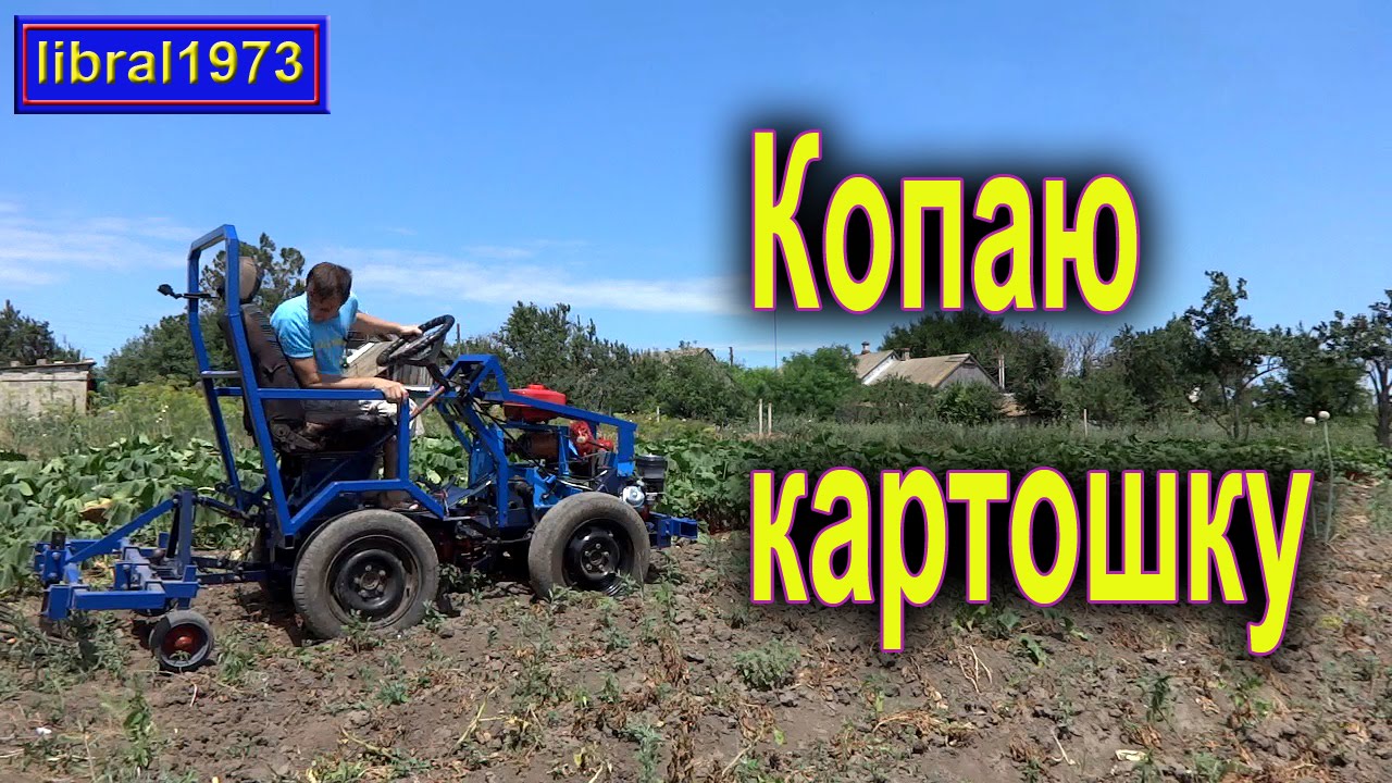 Уборка картофеля минитрактором. Собираем картошку