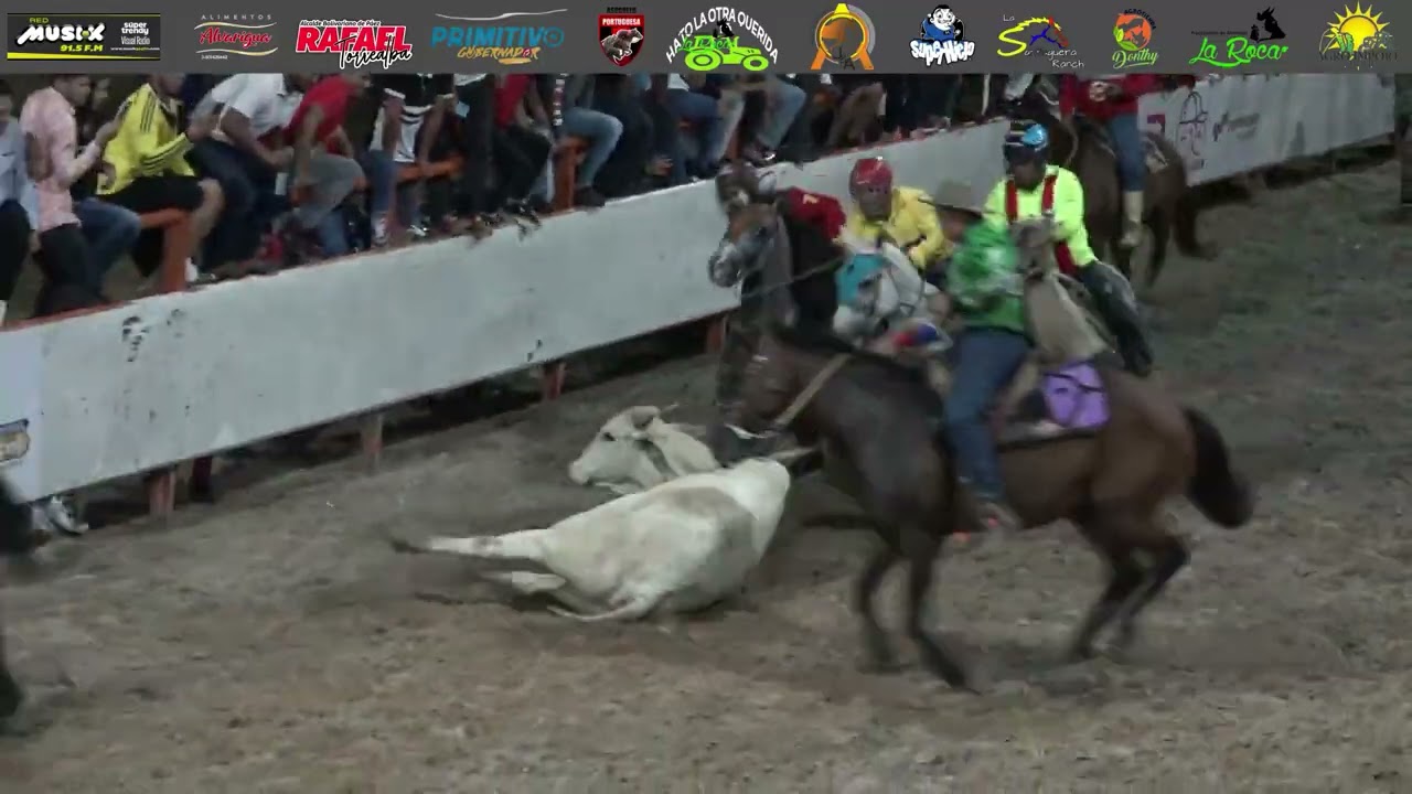 COPA GRAL. JOSE ANTONIO PAEZ