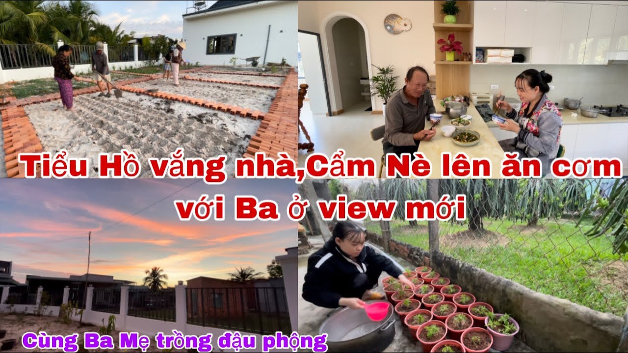 #63 Tiểu Hồ vắng nhà, Cẩm Nè lên ăn cơm với Ba ở View mới,cùng Ba Mẹ trồng đậu phộng nhà Tiểu Hồ.