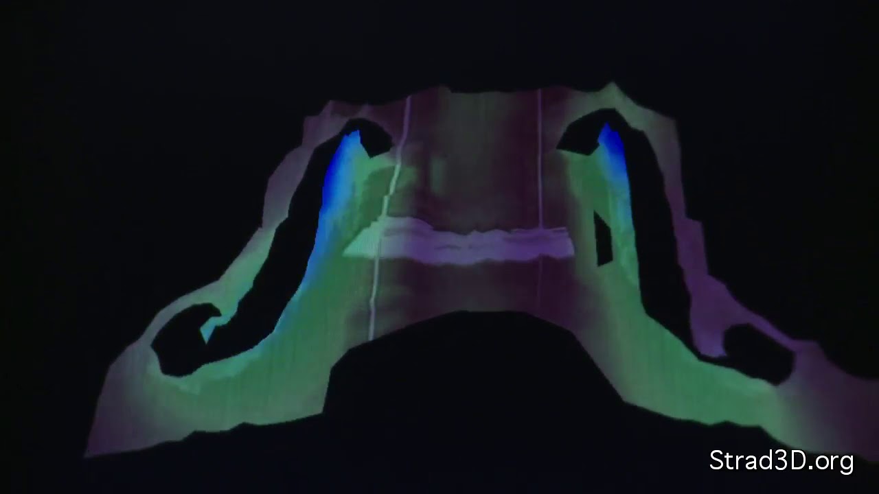 Strad3D: F Hole Design - Tradition Meets Science