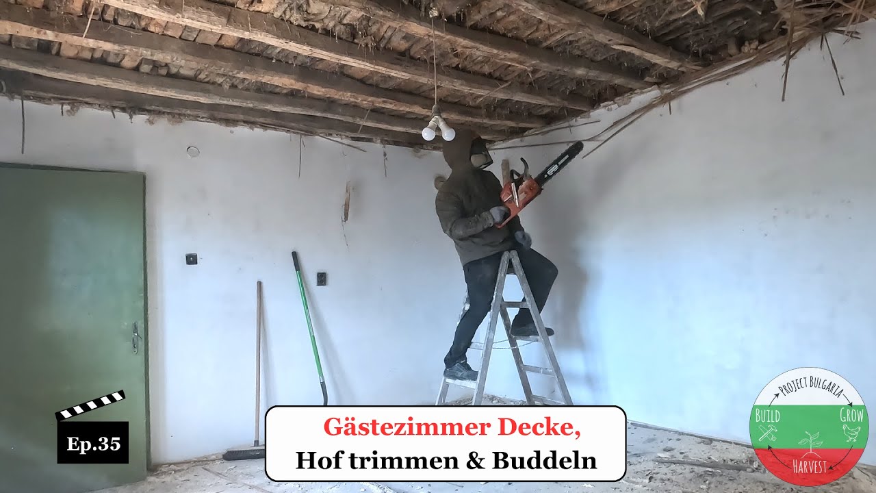 Wir reißen die Gästezimmerdecke ein, trimmen den Hof & Buddeln das Loch für die Klärgrube - Ep.35 📺