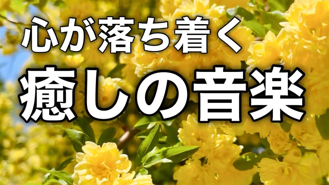 【癒しの音楽】心が落ち着くリラックス音楽、自律神経を整え不安やストレス解消のためのヒーリングミュージック/睡眠用・作業用・勉強用BGM