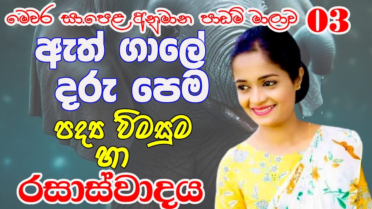 ඇත් ගාලේ දරු පෙම | අනුමාන පාඩම් | රසාස්වාදය | Athgale Daru Pema | Rasaswadaya | O/L