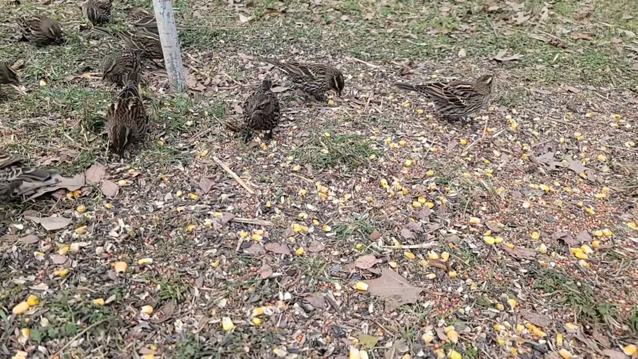 Relaxing place.@Wide Open Transit Farm