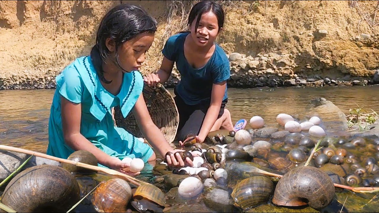 Two sister pick a lot snail and duck egg near river- Steamed snail & duck egg with salt so delicious