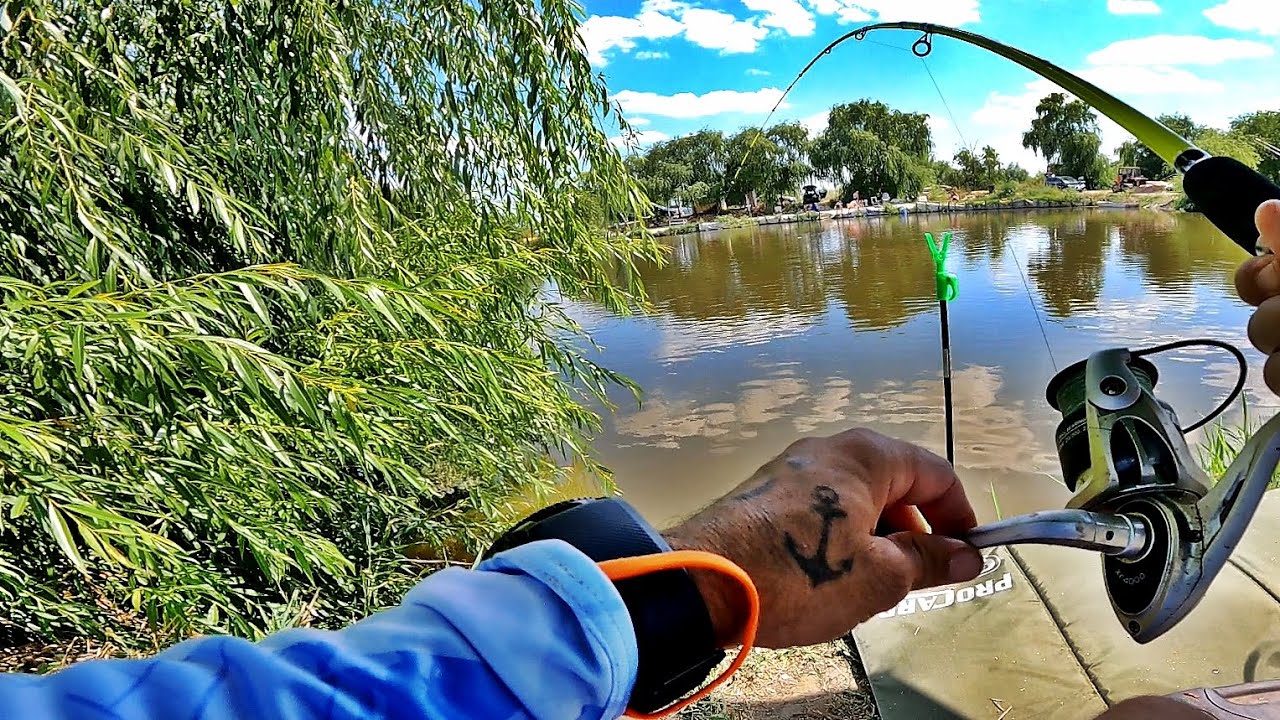 STRONG TRAITS BAD FOR SLEEP AND CARP WERE TO LOSE RODS