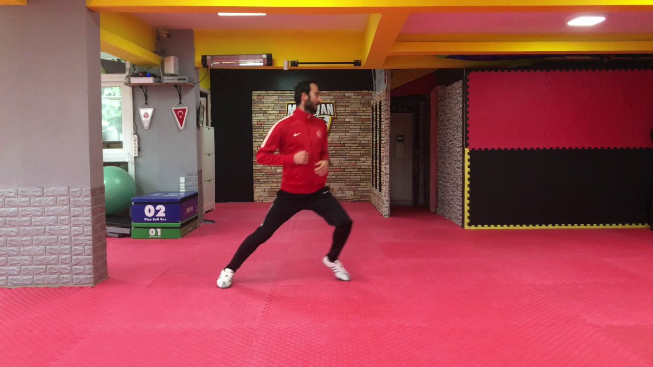 Taekwondo Footwork & Kicks Practice