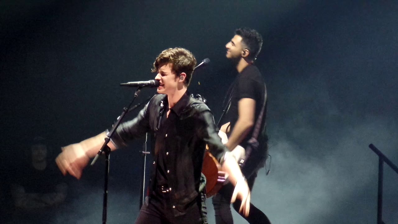 Shawn Mendes - There is nothing holding me back (Live @ Ziggo Dome, Amsterdam 7 march 2019)