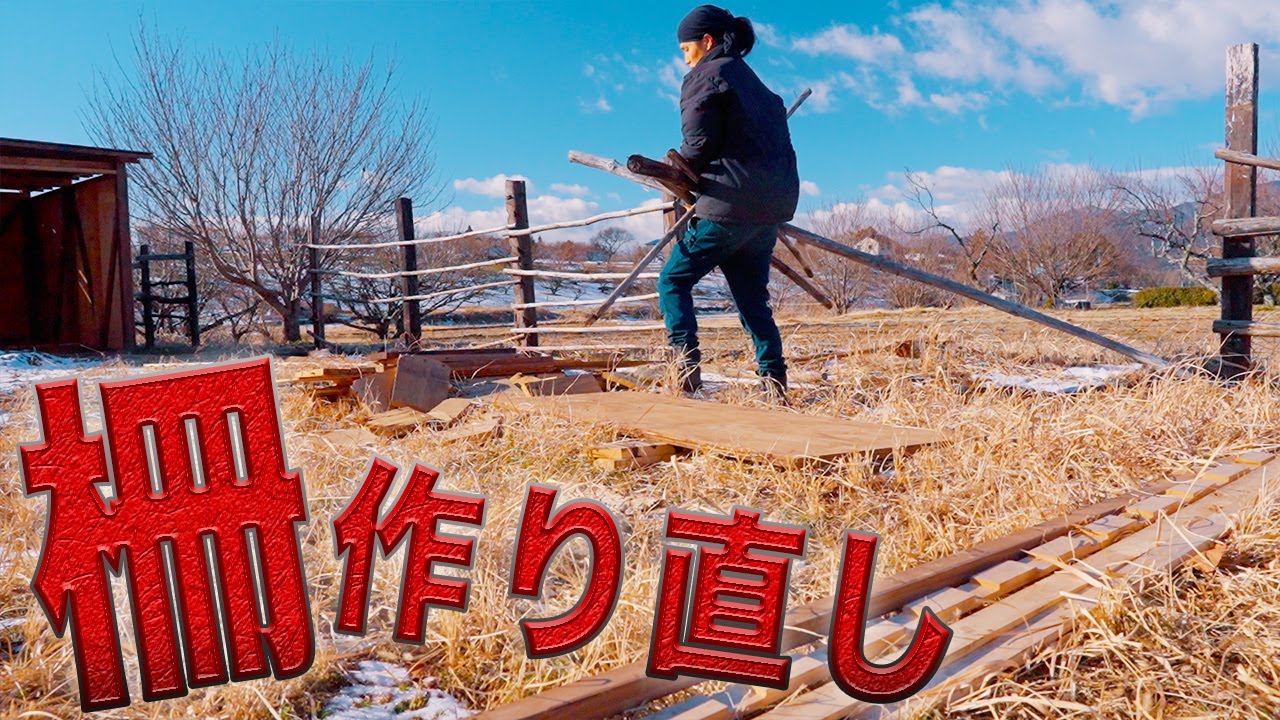 【DIY】見て見ぬふりできず…大好きなヤギのために丈夫な柵作り‼️