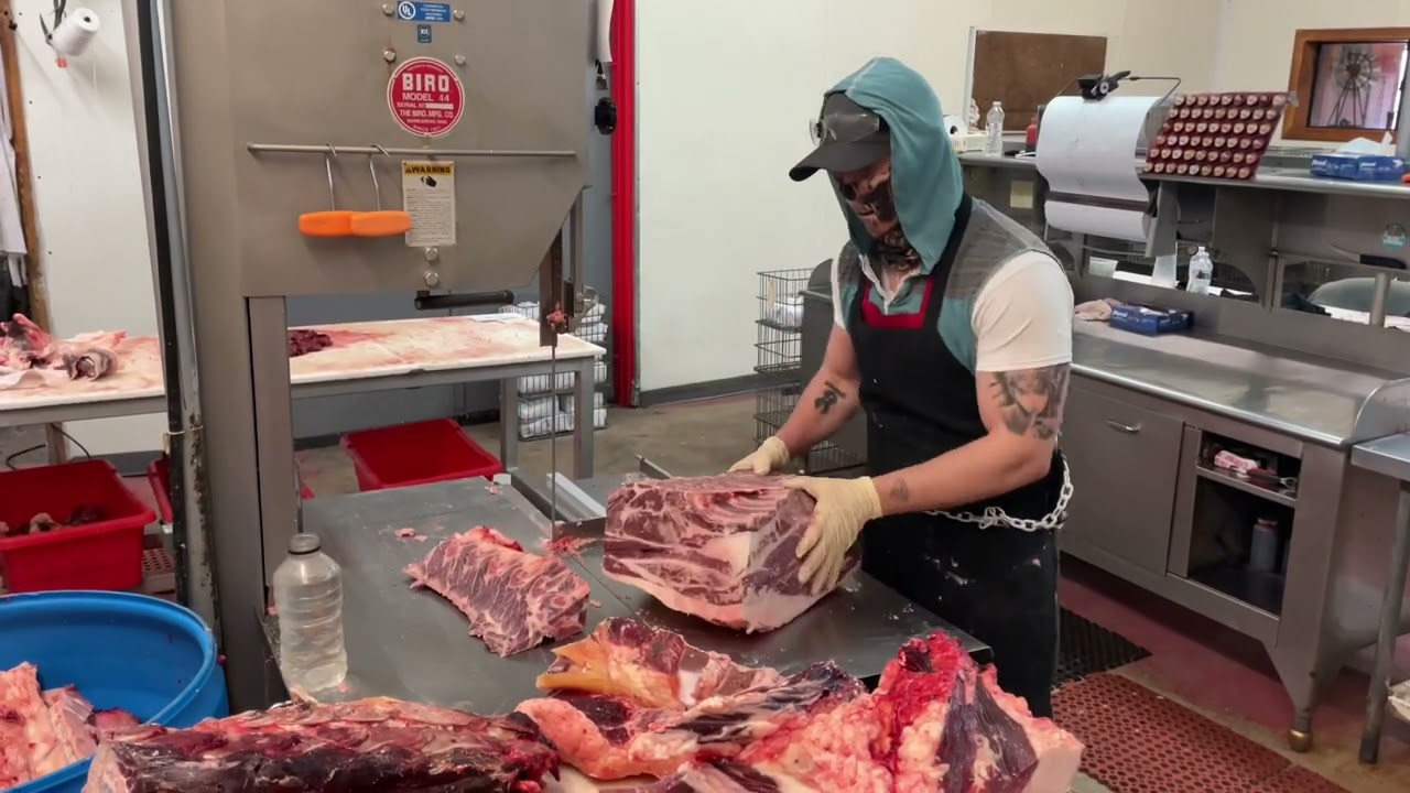 Beef front quarter break down tutorial