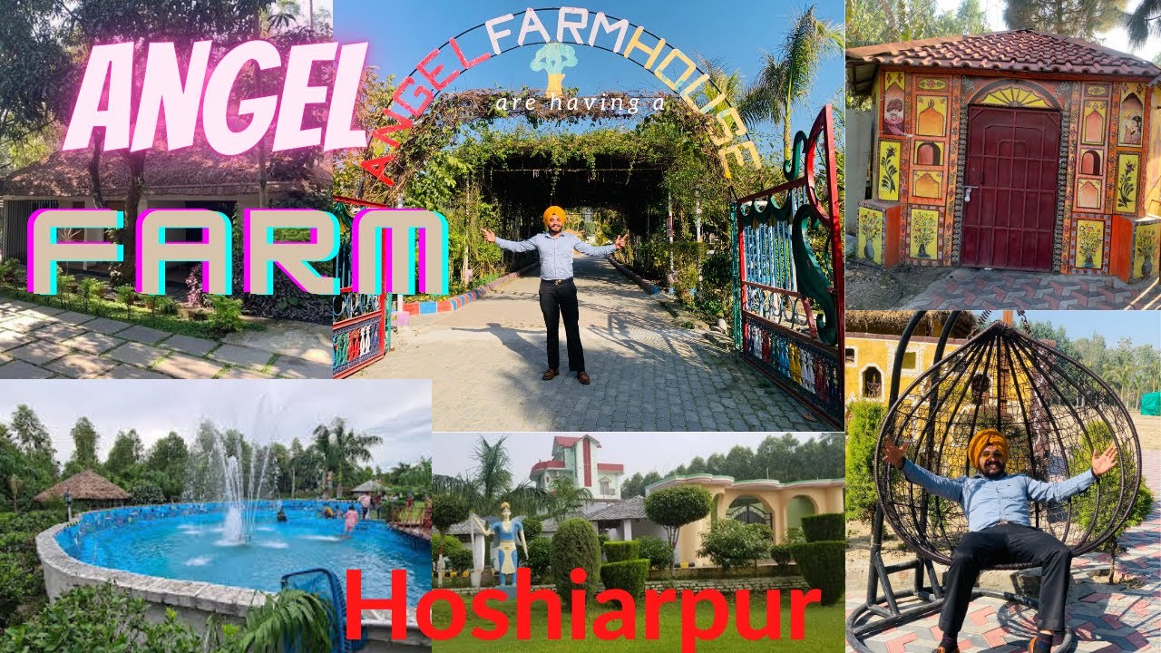 Angel farm in Hoshiarpur | Best luxury farm in punjab | Pind chakladian | #vlog #viral #punjab