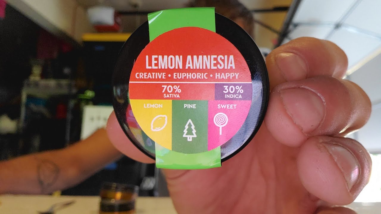 AMNESIA 🍋 LEMON BY: FROM THE SOIL