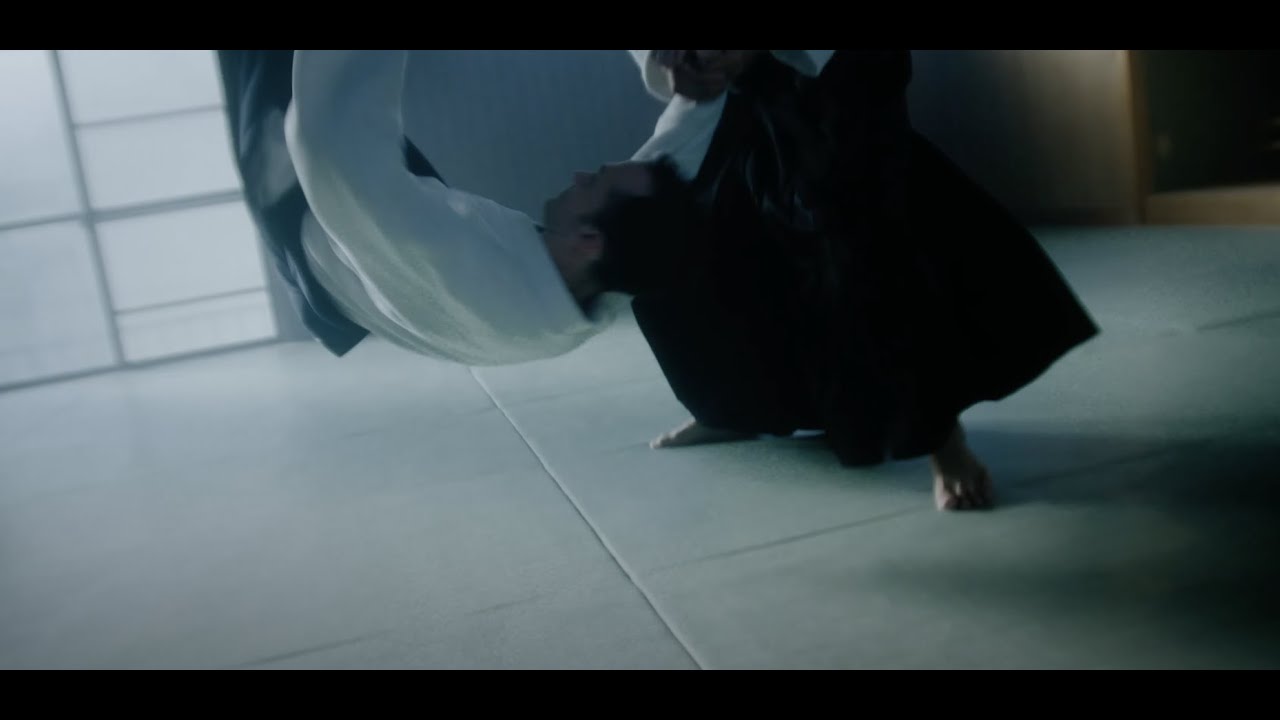Step into The Land of Aikido