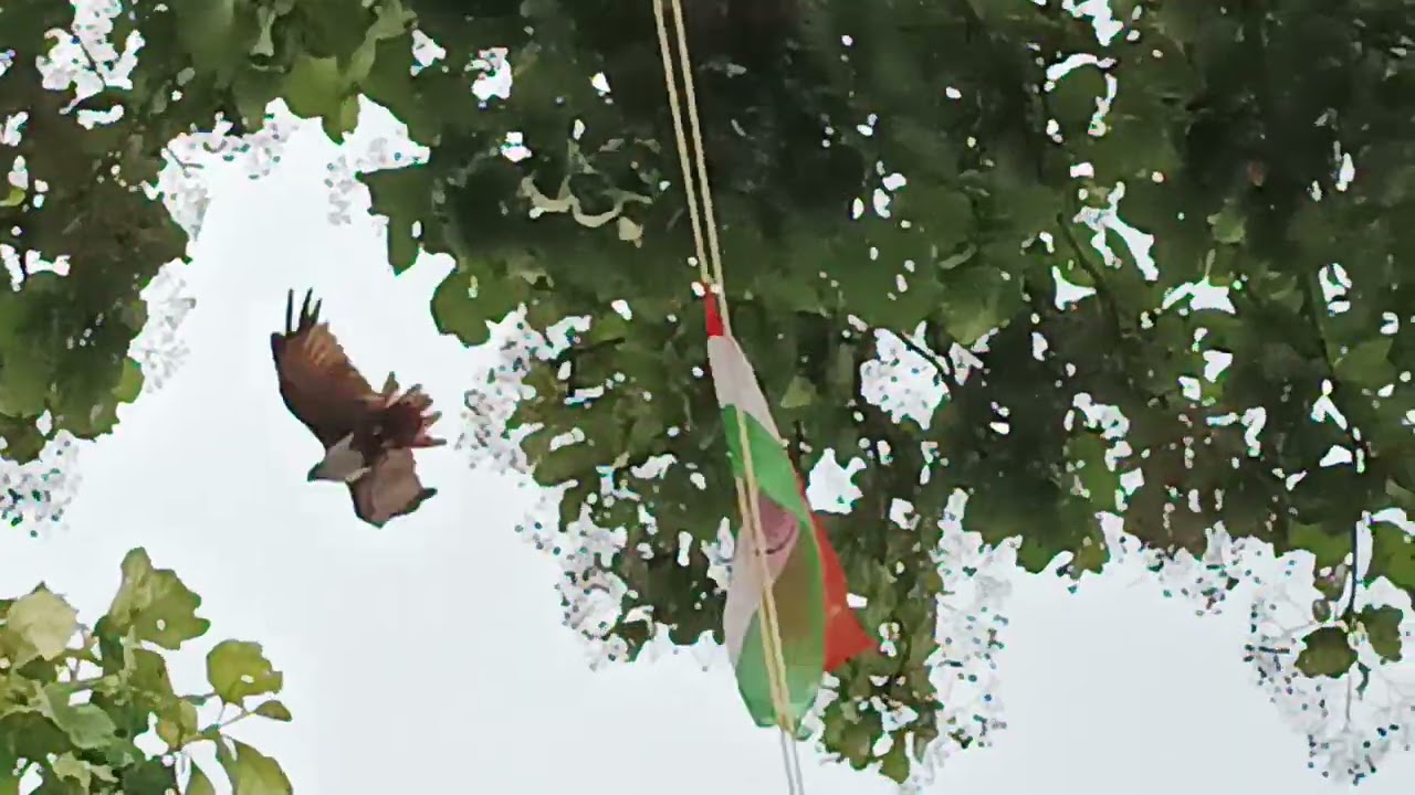 I-Day flag hoisting at St Joseph's Catholic Church, Thekkumbhagam, Kollam, Kerala, on August 15