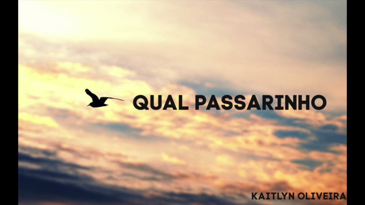 Qual Passarinho CCB - Kaitlyn Oliveira