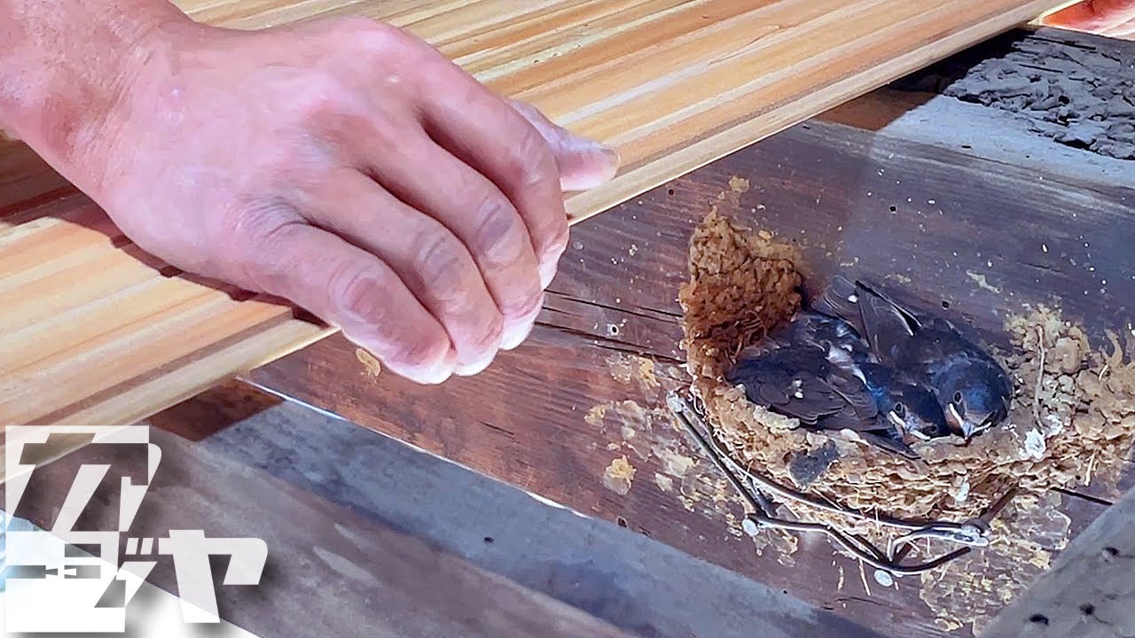 子ツバメを守るための古民家リフォーム