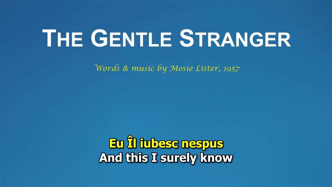 The Gentle Stranger (Străinul blajin)