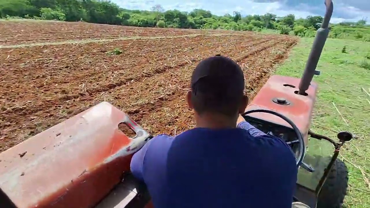 290 no preparo de solo
