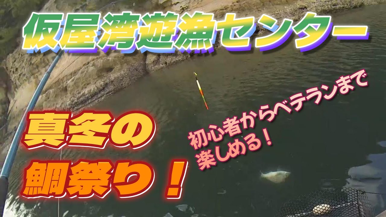【仮屋湾遊漁センター】真冬の海洋釣堀で真鯛乱舞！