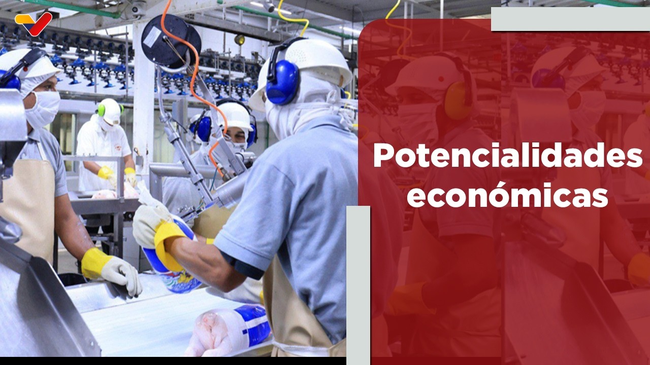 VTV señal EN VIVO | Programa Especial | Venezuela eleva sus potencialidades en materia económica