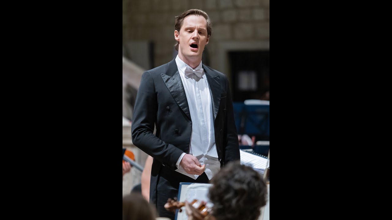 Sava Vemic: Gremin's aria 