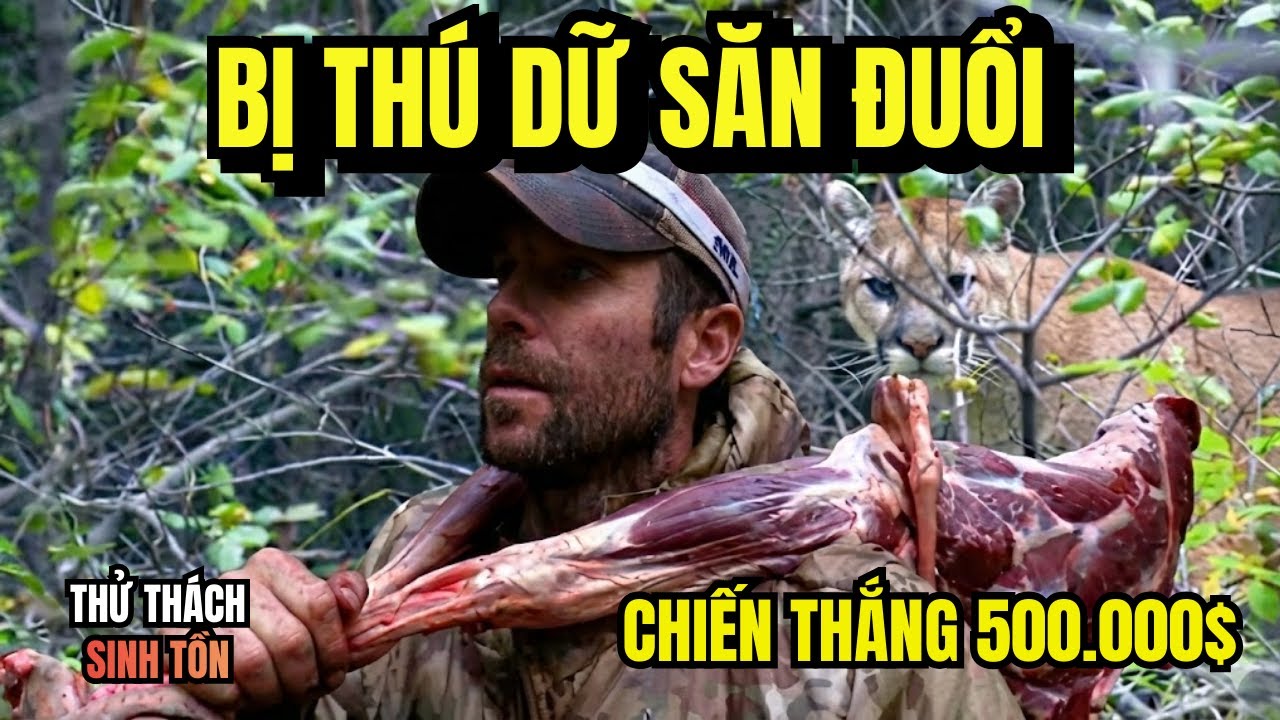 Nhà Vô Địch Săn Mồi Clay Hayes: Đối Đầu Gấu Dữ, Vác Đùi Hươu 100 Cân Giành 12 Tỷ Đồng | Beo Sinh Tồn