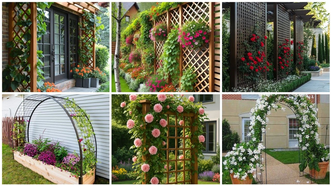 30 Must Try Garden Trellis decor ideas to make your outdoor space more beautiful 