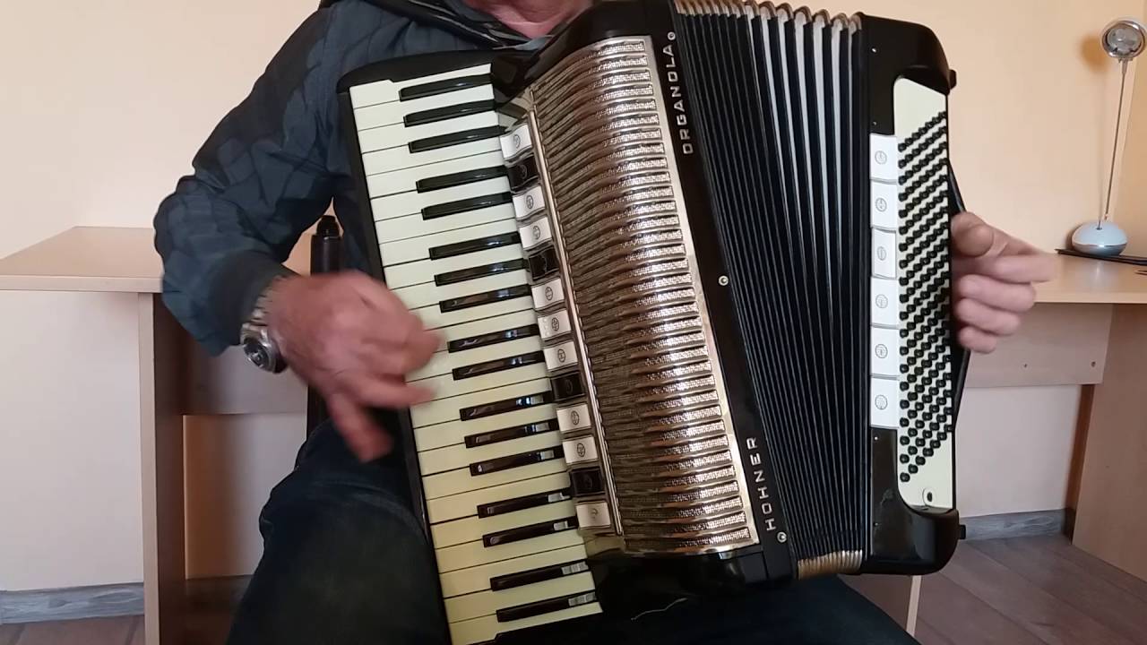 Accordion Hohner Organola 140 Bass Akkordeon Fisarmonica Italian Reeds + Case (1)
