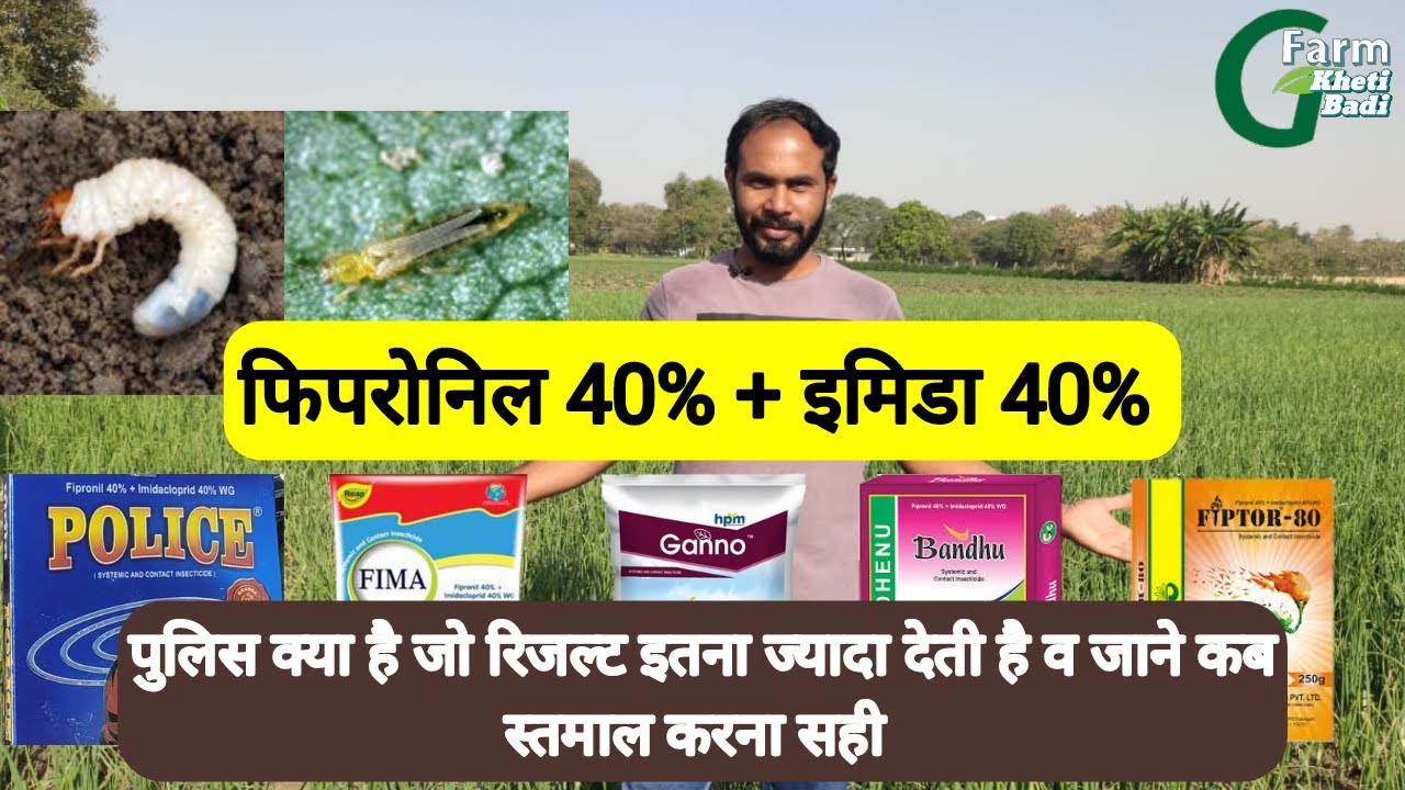 Fipronil 40% + Imidacloprid 40% | Lesenta insecticide | Police insecticide | Thrips | White gurb