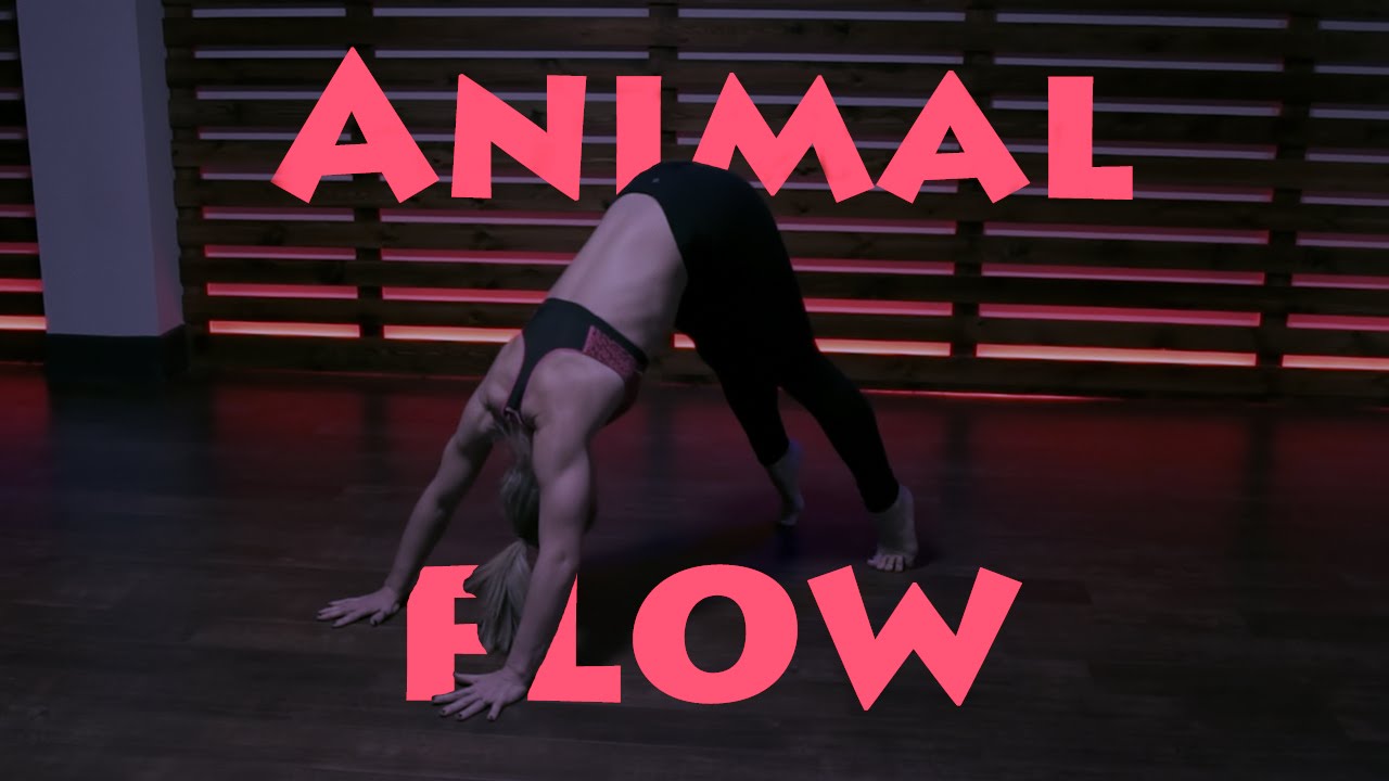 The Beauty Of Animal Flow (Full)...