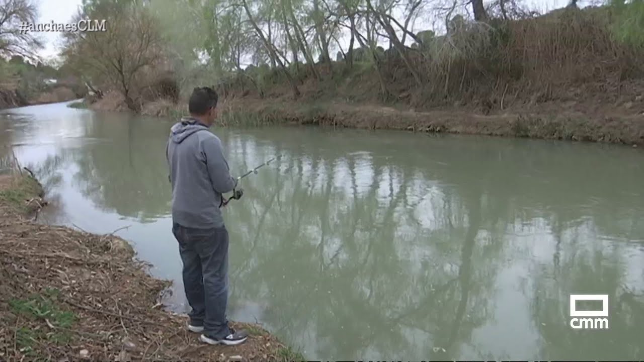 Así se repuebla con truchas el coto de 'Las Mariquillas' | Ancha es Castilla-La Mancha