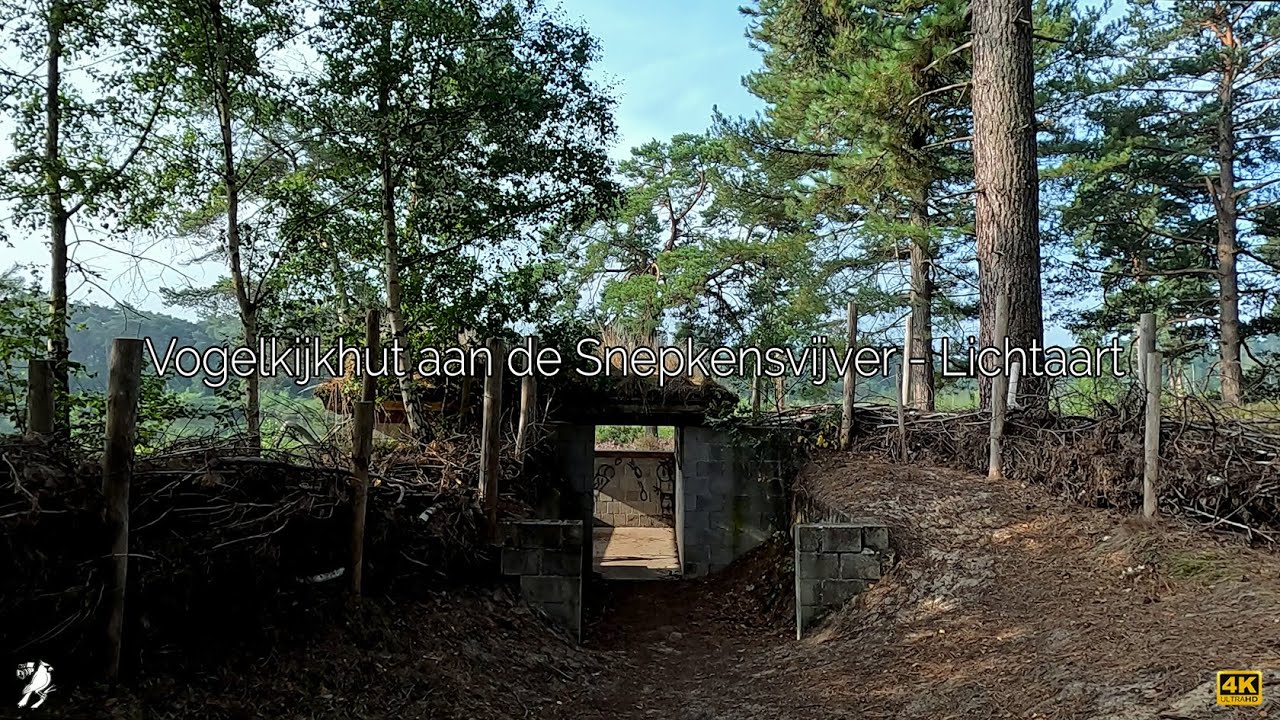 Vogelkijkhut aan de Snepkensvijver - Lichtaart-Kasterlee