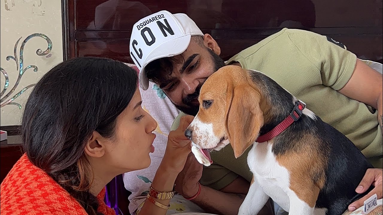 Mujhe ghar jaana hai 🥺