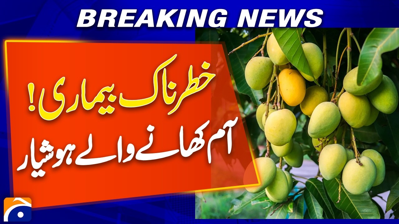 Health Warning! Mango Eaters Must Be Careful &ndash; Safety Tips Inside
