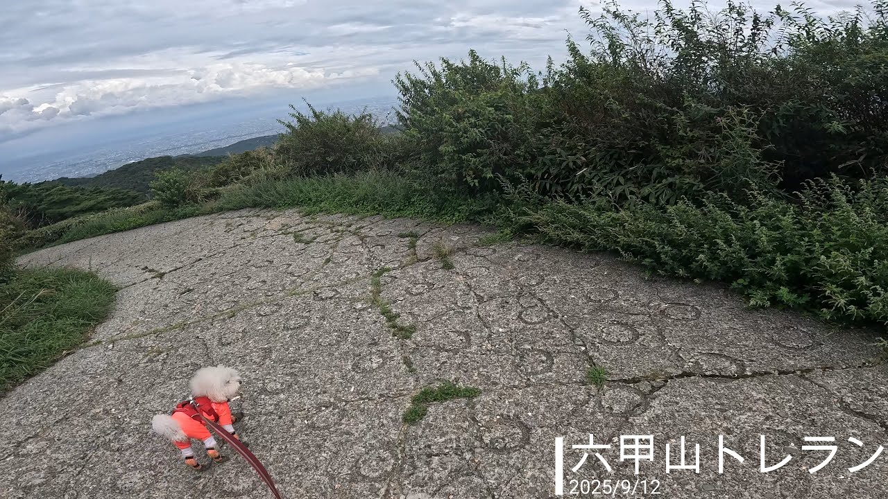 六甲山トレラン