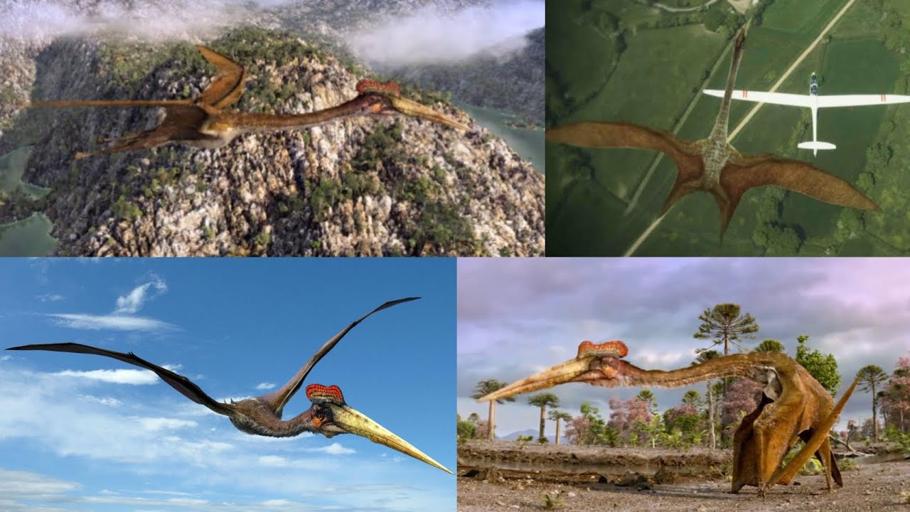 Flying Monsters [2011] - Quetzalcoatlus Screen Time