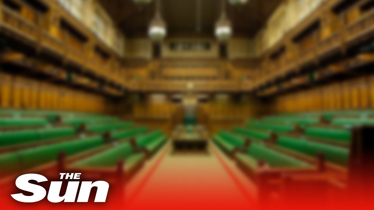 Brexit LIVE: Free trade opportunities