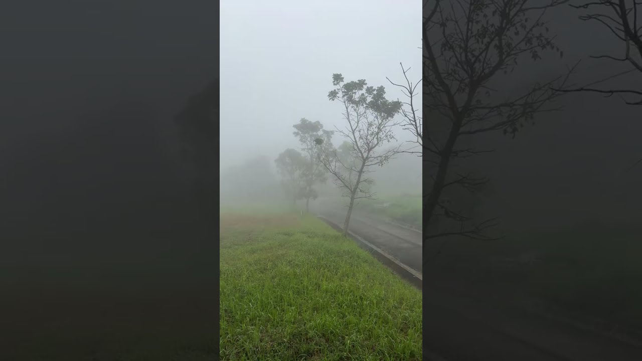 Foggy morning of tagaytay