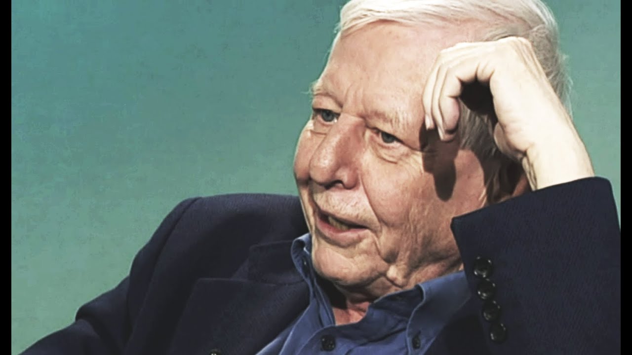 Hans Magnus Enzensberger - Der teilnehmende Beobachter (Vis-à-vis, 2008)